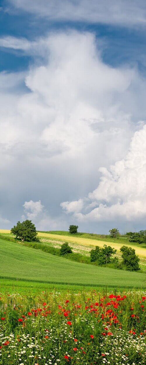 Пример изображения для макета изображения на стекле, фото 5